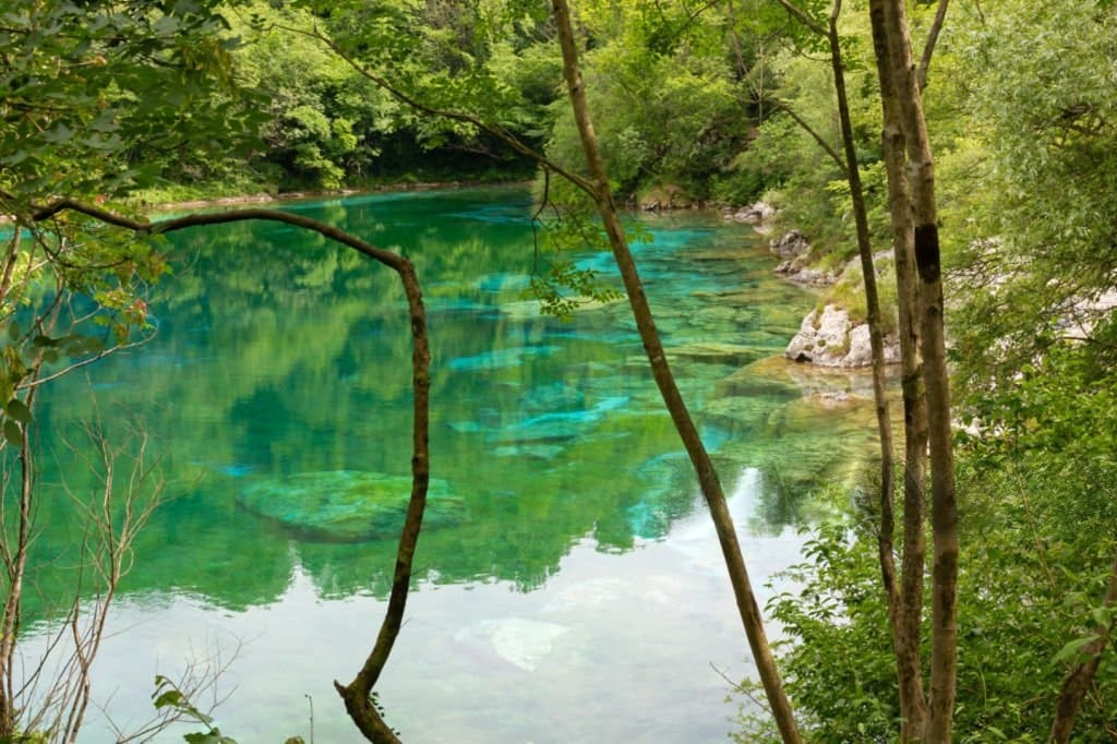 Riserva Naturale del Lago di Cornino: dove i grifoni disegnano il cielo