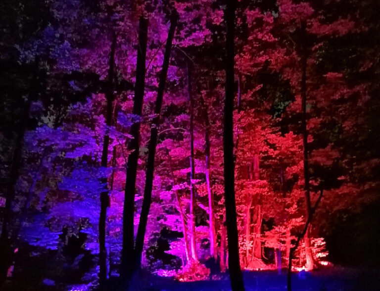 Lumina Milia: il primo percorso naturalistico notturno d’Italia