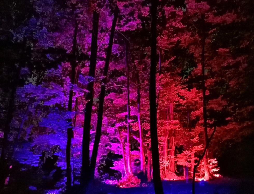 Lumina Milia: il primo percorso naturalistico notturno d’Italia